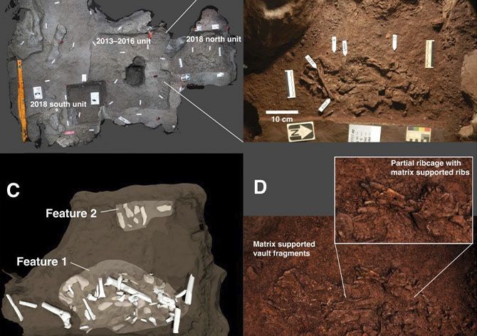 Restos óseos hallados en la cueva