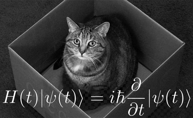 La ecuacion de Schrodinger y su famoso gato vivo y muerto a la vez