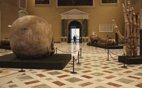 En 2015 se exhibieron huesos de un gigante de 24 metros en Nápoles