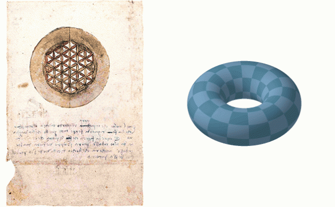 La Flor de la vida de leonardo y la intersección de un toroide en un plano