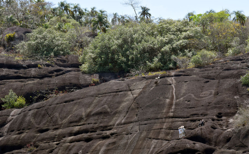 Petroglifos del Cerro Palomazón (Colombia)