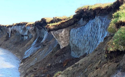 El gusano permaneció en letargo 46000 años en el permafrost