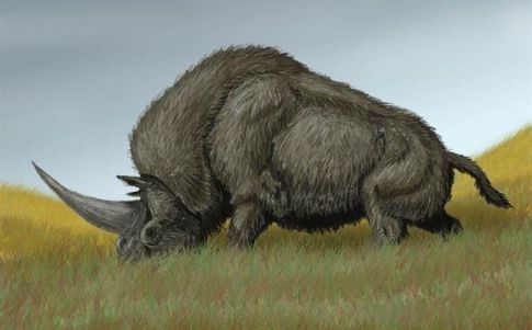 El último unicornio siberiano murió hace sólo 29.000 años