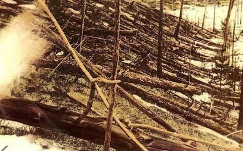 Tunguska arboles derribados